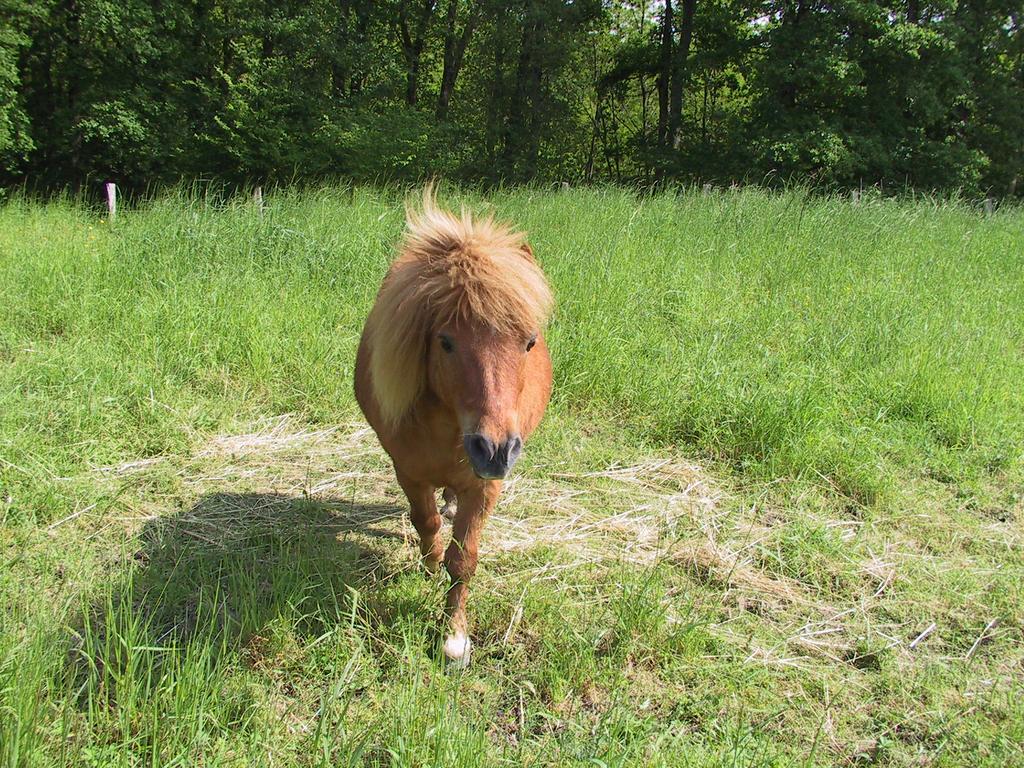 Gite De La Huaudiere Mosnes ภายนอก รูปภาพ